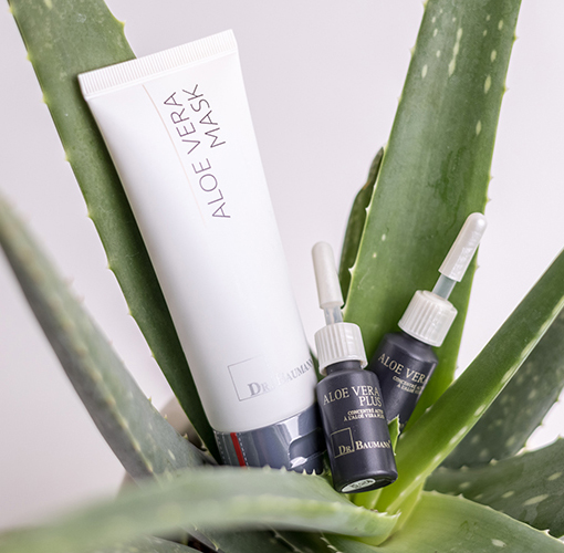 Aloe Vera Behandlung Karina Roche